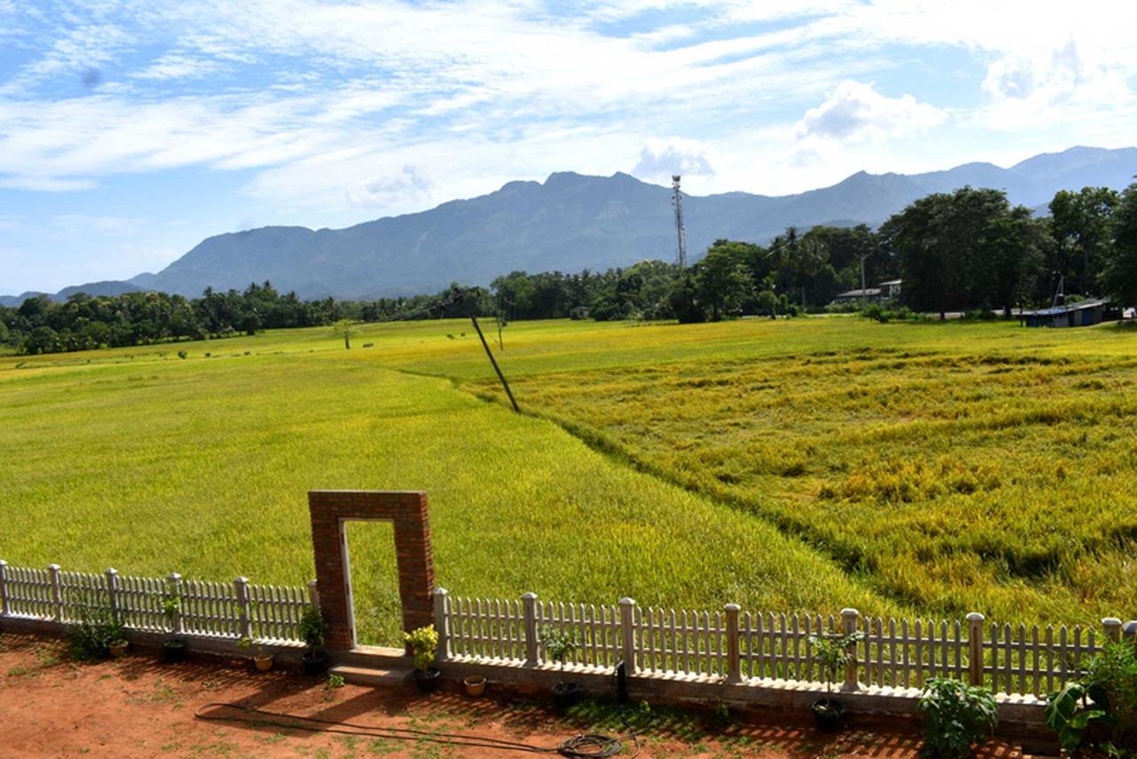 Green Heritage Holiday Resort Mahiyanganaya Buitenkant foto