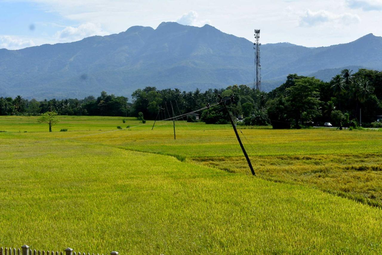 Green Heritage Holiday Resort Mahiyanganaya Buitenkant foto