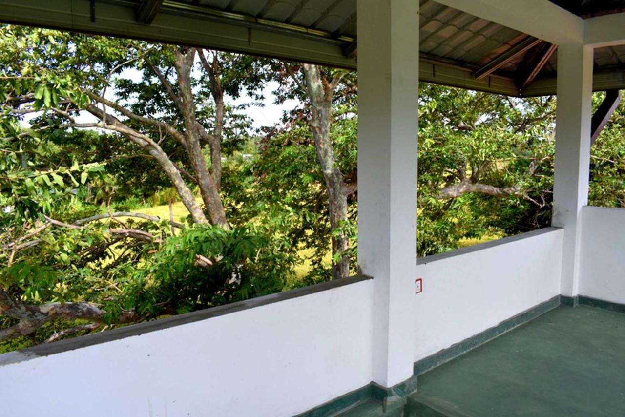 Green Heritage Holiday Resort Mahiyanganaya Buitenkant foto