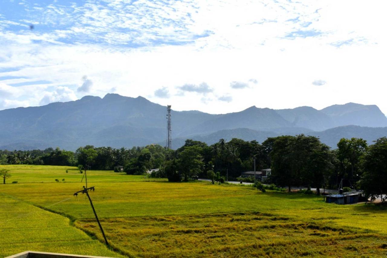 Green Heritage Holiday Resort Mahiyanganaya Buitenkant foto