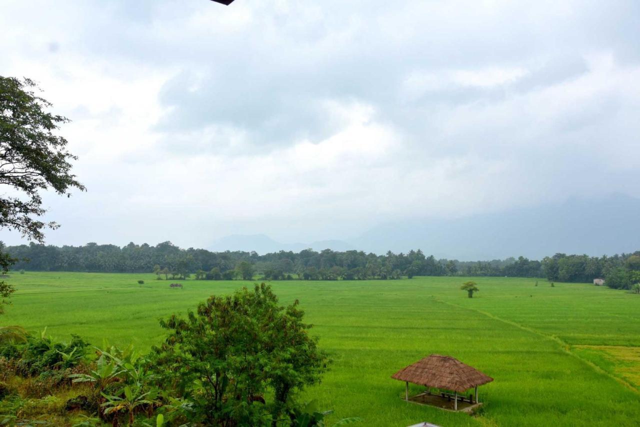 Green Heritage Holiday Resort Mahiyanganaya Buitenkant foto